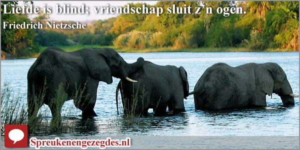 Verwonderend Liefde is blind; vriendschap sluit z'n ogen. Friedrich Nietzsche VP-43