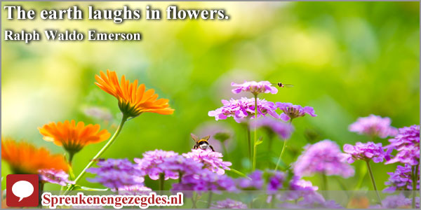 The earth laughs in flowers. Ralph Waldo Emerson
