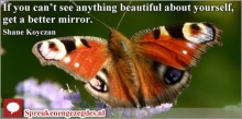 If you can’t see anything beautiful about yourself, get a better mirror. Shane Koyczan