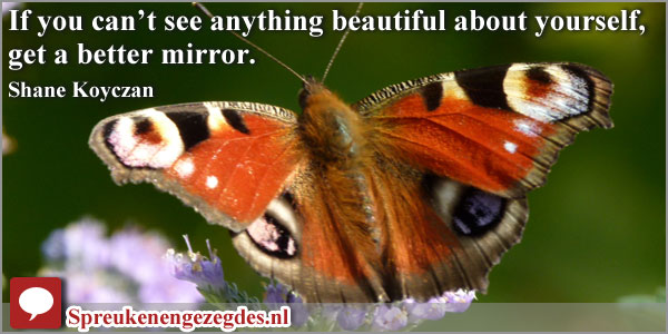 If you can’t see anything beautiful about yourself, get a better mirror. Shane Koyczan