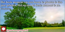 Het beste moment om een boom te planten is tien jaar geleden. Het op één na beste moment is nu. Confucius