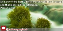 Don’t try to be useful. Try to be yourself: that is enough, and that makes all the difference.