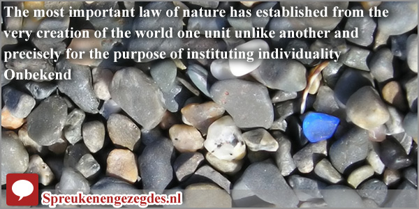 The most important law of nature has established from the very creation of the world one unit unlike another and precisely for the purpose of instituting individuality.