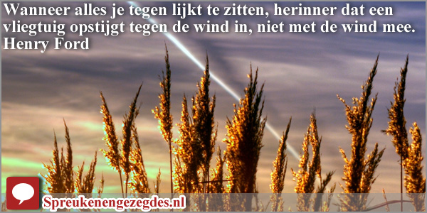 Wanneer alles je tegen lijkt te zitten, herinner dat een vliegtuig opstijgt tegen de wind in, niet met de wind mee.