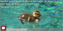 Spetter pieter pater, lekker in het water, ga maar vast naar huis. Ik kom een druppel later.