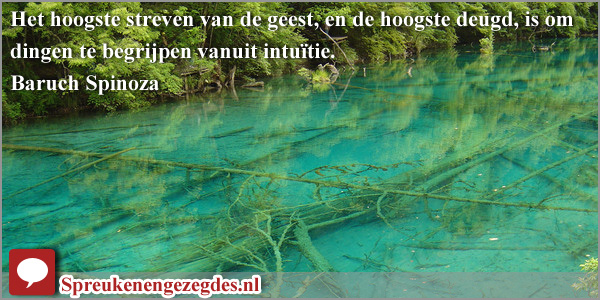 Het hoogste streven van de geest, en de hoogste deugd, is om dingen te begrijpen vanuit intuïtie. Baruch Spinoza