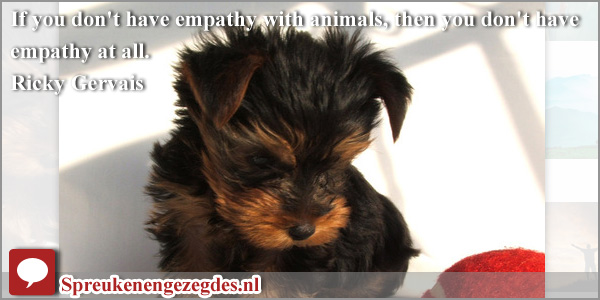 If you don't have empathy with animals, then you don't have empathy at all.