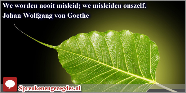 We worden nooit misleid; we misleiden onszelf.