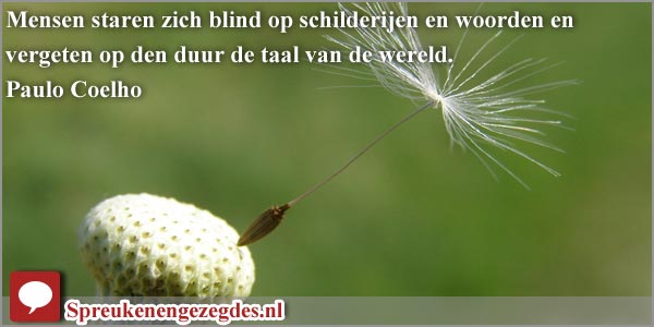 Mensen staren zich blind op schilderijen en woorden en vergeten op den duur de taal van de wereld.