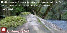 The first step to freedom is not just to change reality to fit your dreams. It's to change the way you dream.