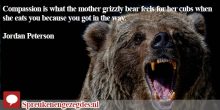 Compassion is what the mother grizzly bear feels for her cubs when she eats you because you got in the way. Jordan Peterson